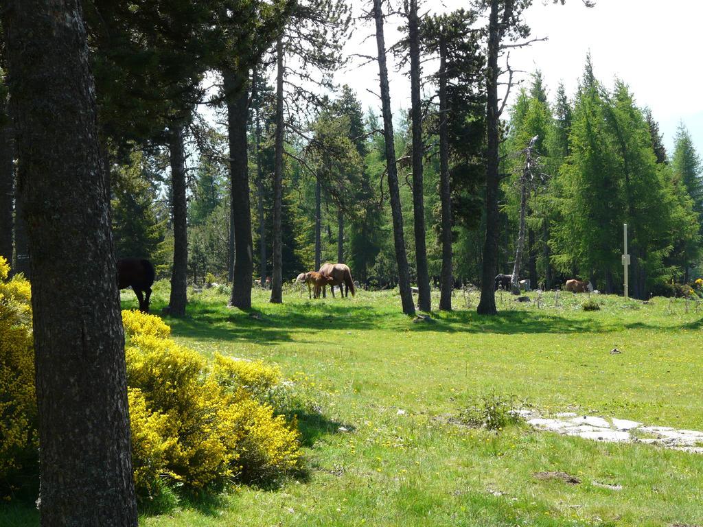 Font Romeu Via Daire Oda fotoğraf